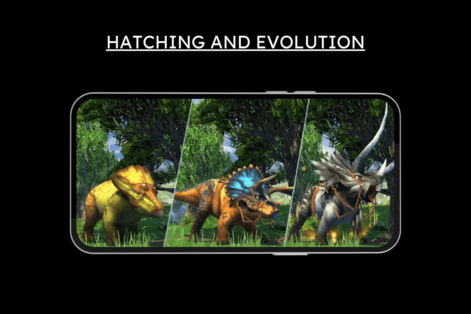 hatching and evolution