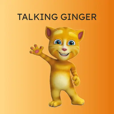 talking ginger